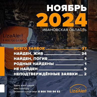 47 заявок отработал в ноябре ивановский отряд «ЛизаАлерт»